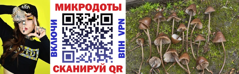 Псилоцибиновые грибы Cubensis  купить наркоту  omg tor  Яблоновский 